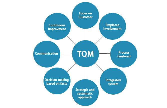 What is Total Quality Management | 8 Principle and its Understanding
