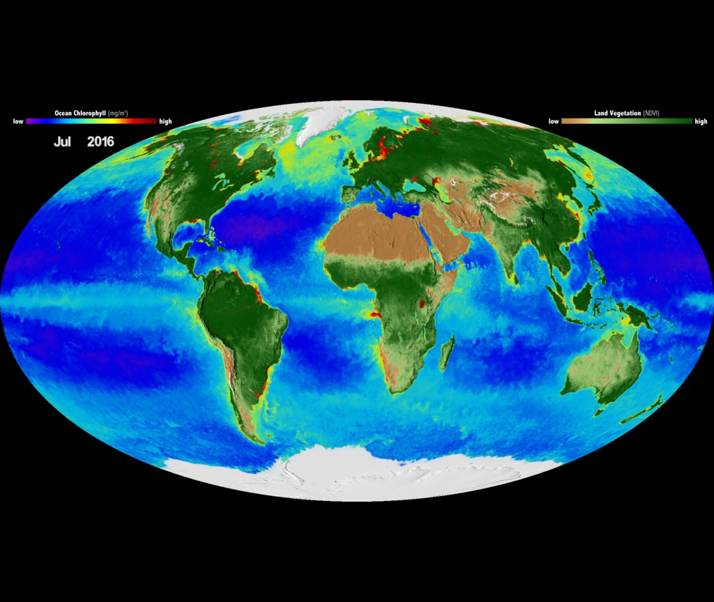 Global Biosphere (Credit: NASA)