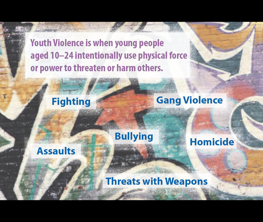 Youth Violence | Violence Prevention | Injury Center | CDC (Credit: Centers for Disease Control and Prevention, 2014; Corinne David-Ferdon, PhD / Thomas R. Simon, PhD)